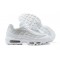 Men Nike Air Max 95 TT White DH3857-100 Shoes