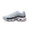 Men Nike Air Max Plus Tn Crater Grey DA1500-100 Shoes